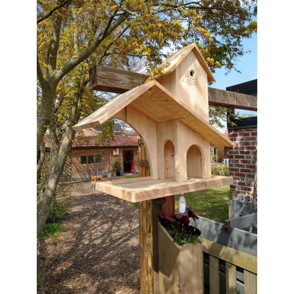 tenggeran burung tempat makan burung liar hobi mahal