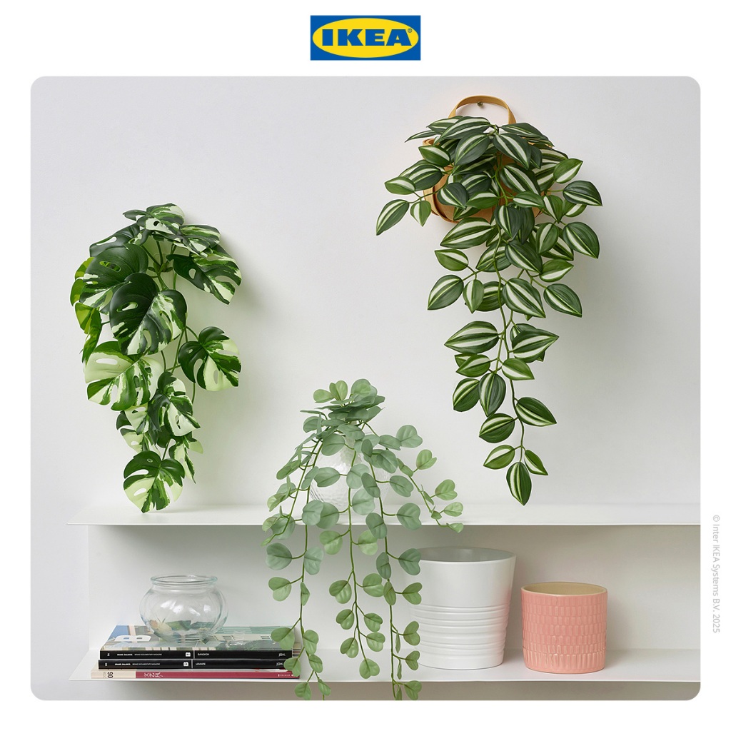 IKEA FEJKA Tanaman Hias Palsu Dengan Dudukan Dinding Set Isi 3pcs