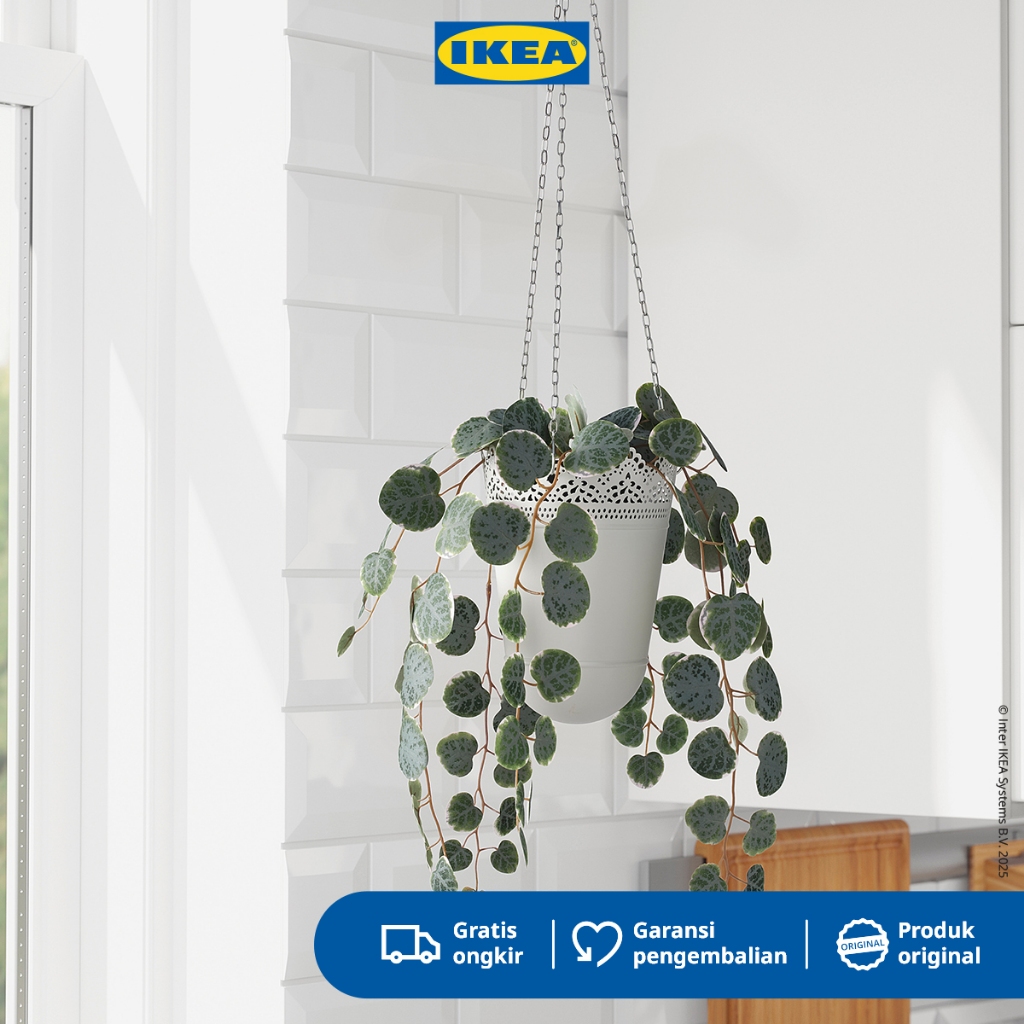 IKEA FEJKA Tanaman Tiruan Gantung String of Hearts Dalam Pot 9cm