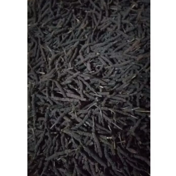 cabe jawa / cabe hitam/ cabe puyang