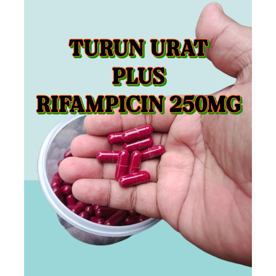 4 kapsul turun urat / obat turun urat /obat tedun plus rifam / pcn obat ayam turun urat
