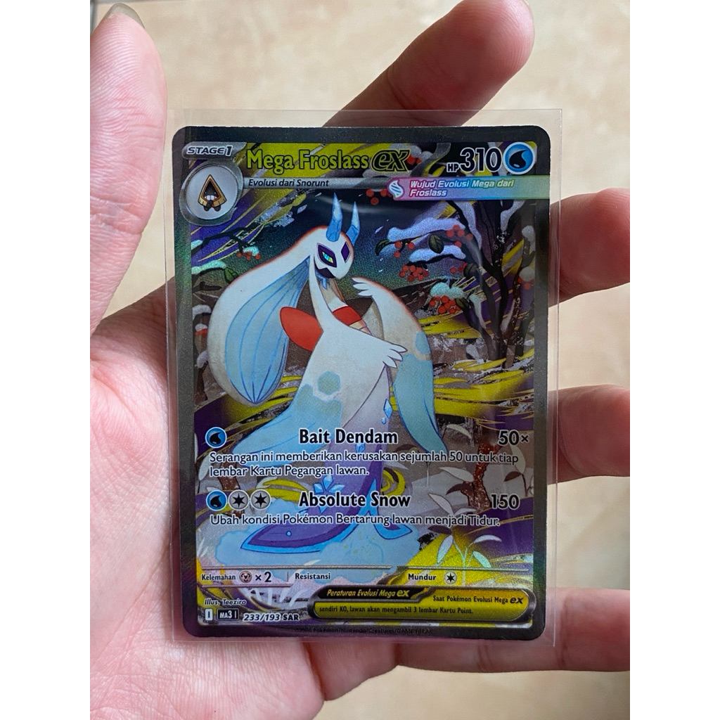 Froslass SAR & Numel AR