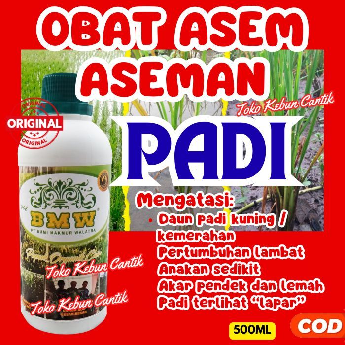 POC BMW Pupuk Padi Sawah Rawa | Solusi Tanah Asam & Asem-Aseman Padi