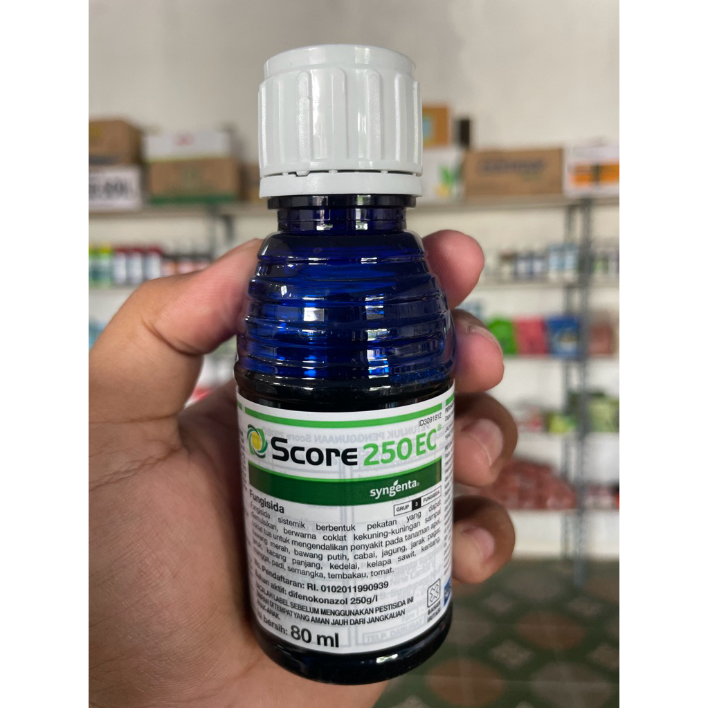 Fungisida Score 80ml