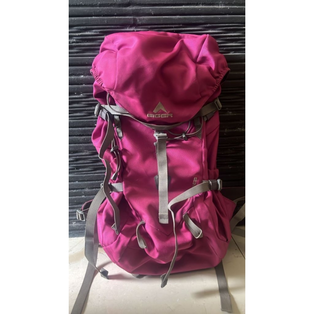 tas 1989EIGER 45L stream line