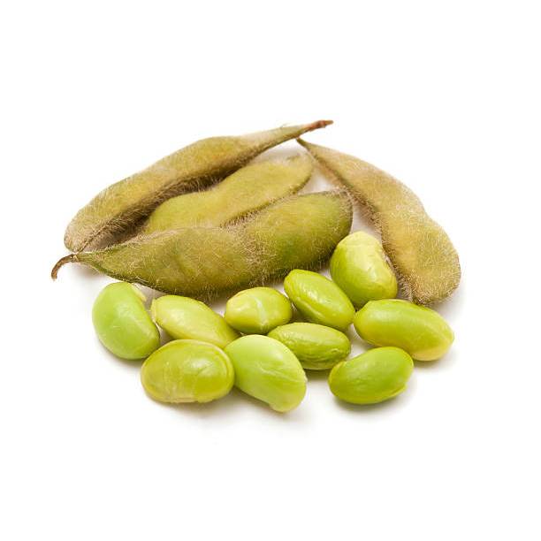 GUDANG BENIH - BENIH TANAMAN EDAMAME