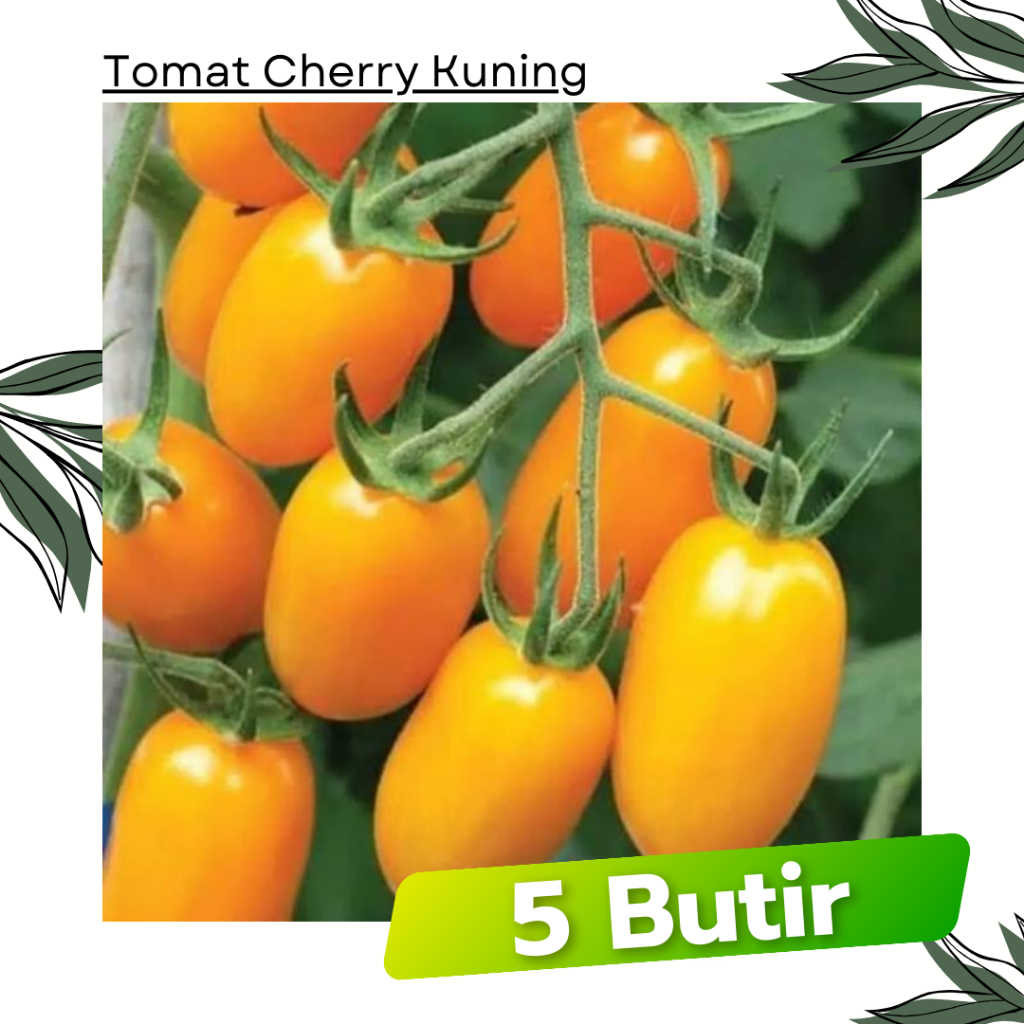 5 Butir - Tomat Cherry Kuning GOLDEN SWEET Known You Seed Bibit Sayuran Tanaman