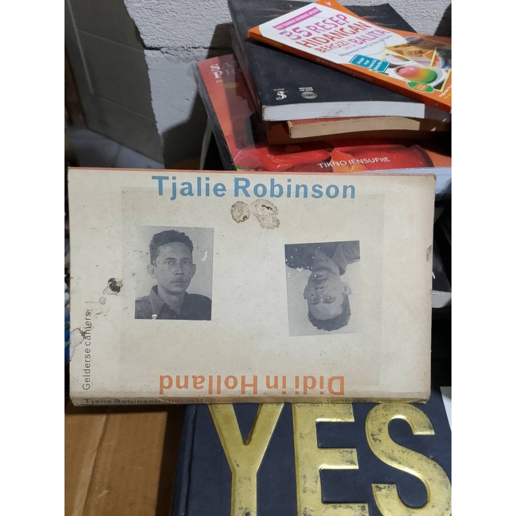 buku sejarah Tjalie Robinson Didi in Holland