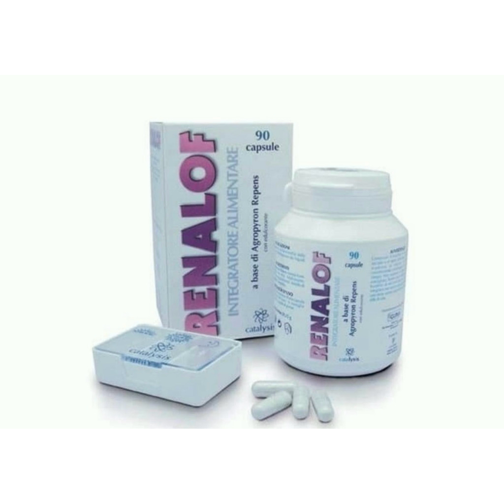 Renalof per tablet ( obat penghancur batu ginjal )
