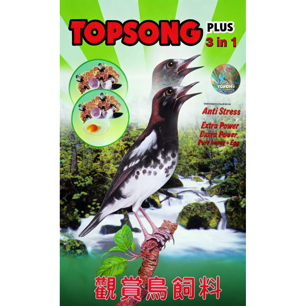 TOPSONG PLUS 3in1 ( 1 dus)