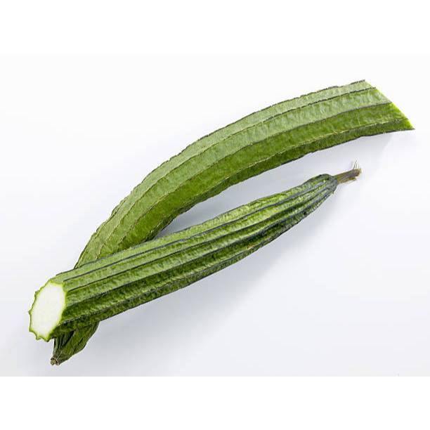 GUDANG BENIH - BENIH OYONG