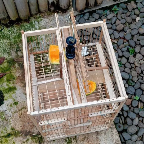 Sangkar Jebak Per Jebakan burung Jebak Burung Kandang Burung Jebak