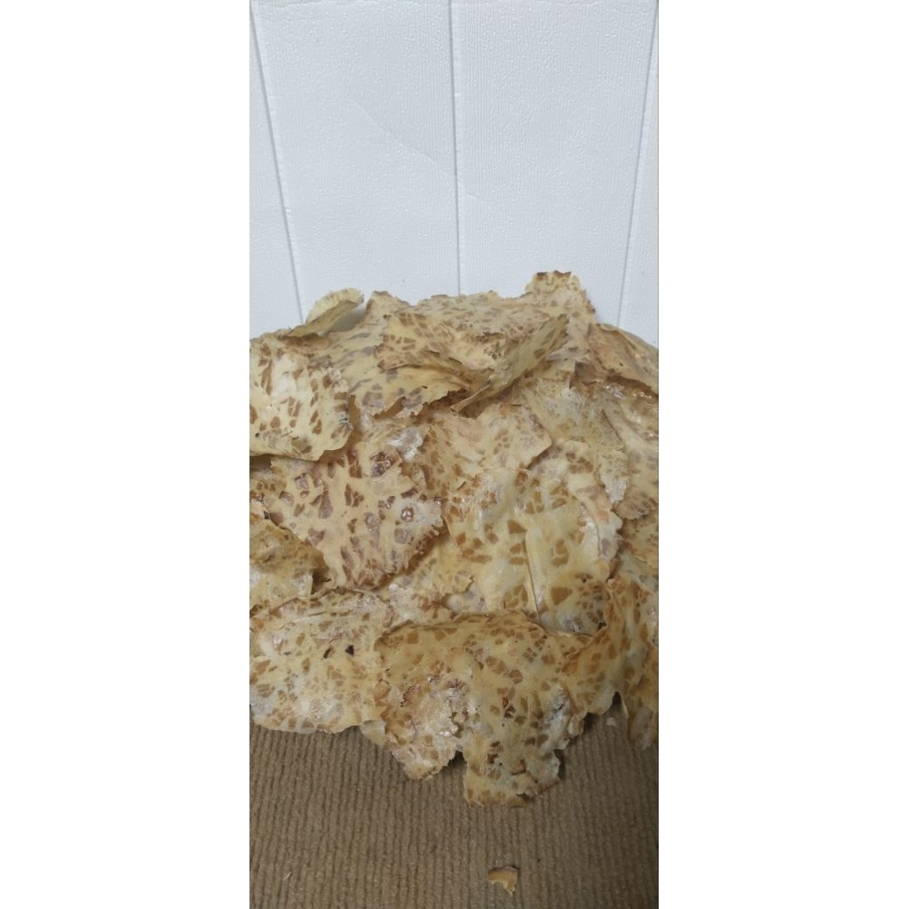 kerupuk jengkol mentah keripik jengkol mentah 1 kg cemilan jengkol