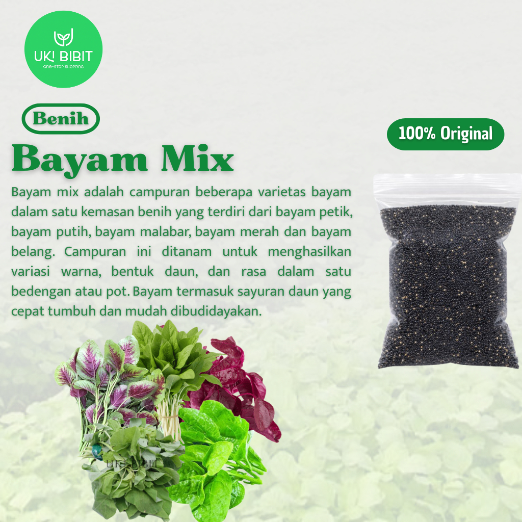 ( 1.000 Butir ) Benih Biji Bayam Mix | Bayam Petik | Putih | Malabar | Merah | Belang