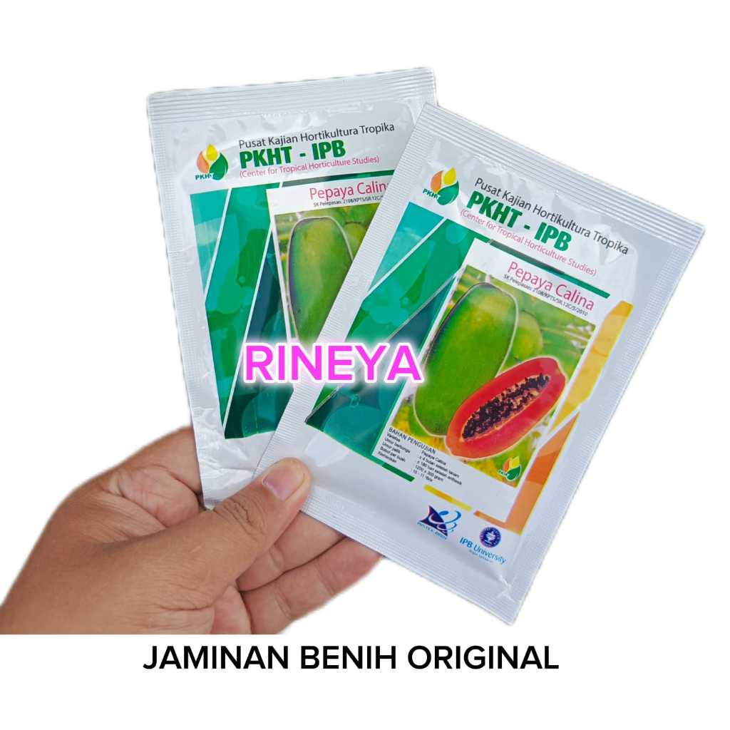 benih pepaya PKHT IPB-9 Pepaya Calina California isi 250