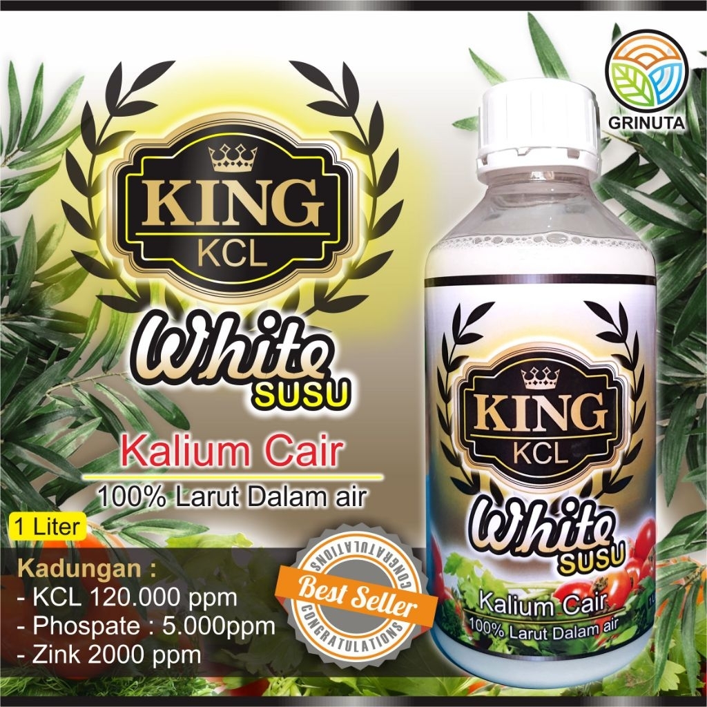 KCL SUSU - King KCL White