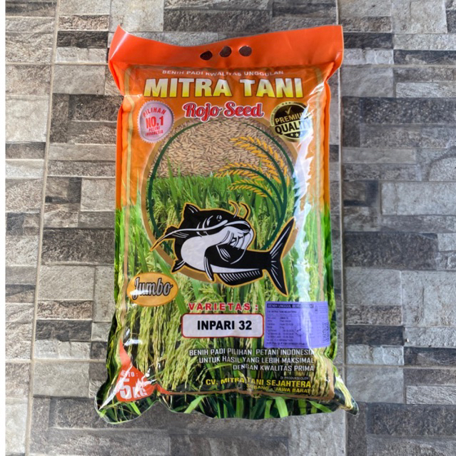 Benih padi Inpari 32 ROJO SUBANG ( LEBIH KOKOH )