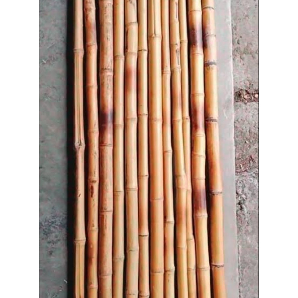 Tongkat Pramuka / Bambu Pramuka / Tongkat Bambu Pramuka