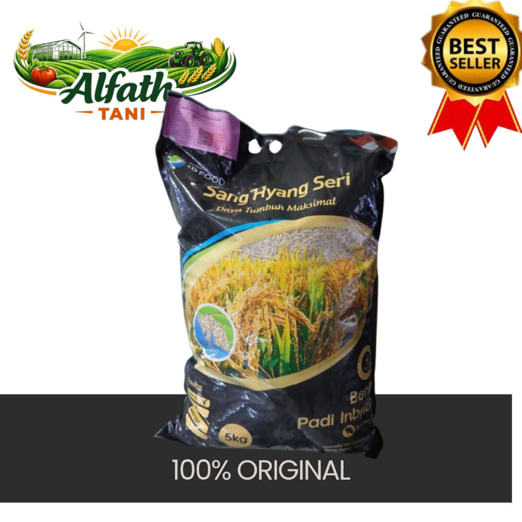 Benih Unggul Padiku Inpari 32 5kg Tahan Kering Basah SHS Sang Hyang Seri Platinum