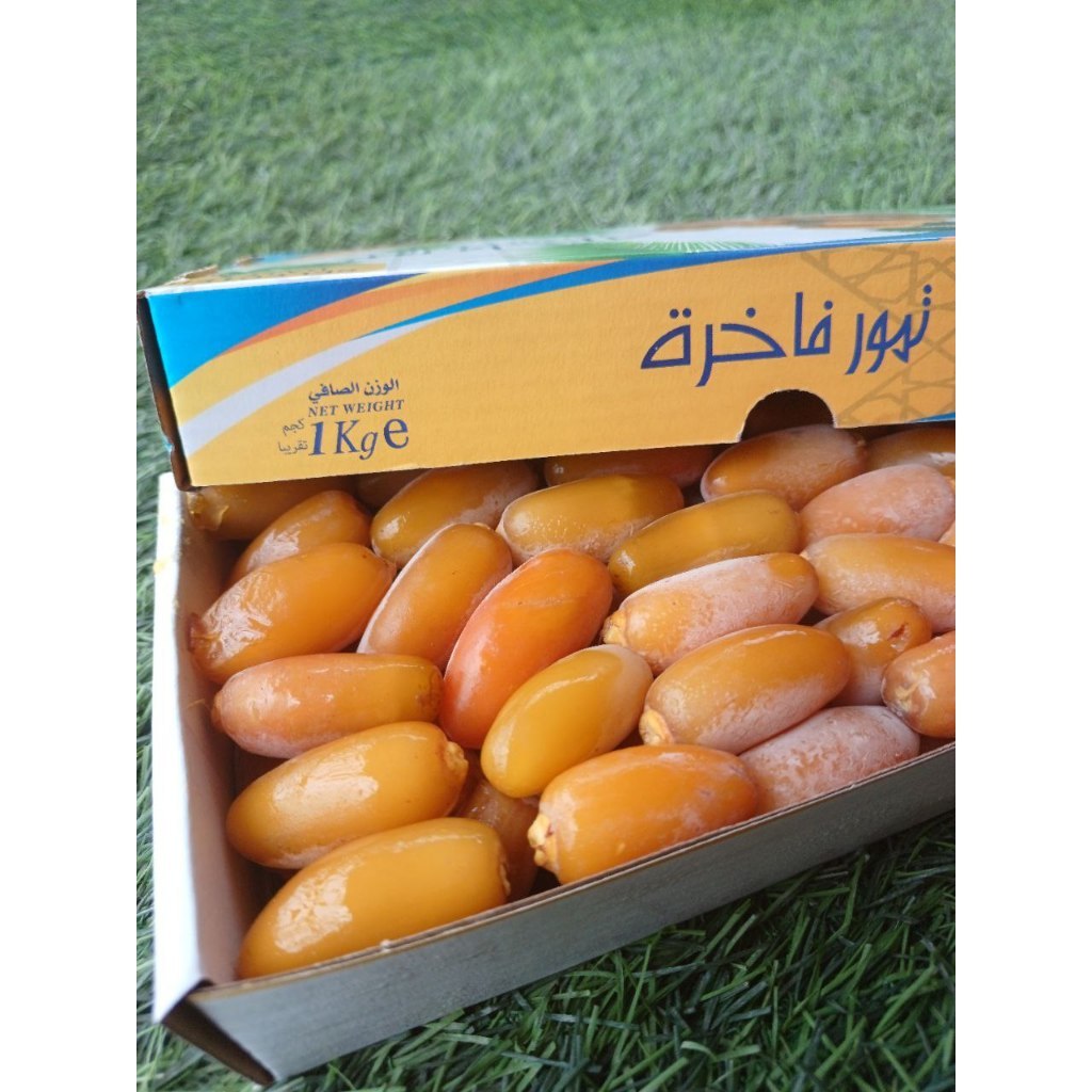 Kurma Muda Ruthob | Kurma Muda Setengah Matang  | Ruthab Libya 1Kg
