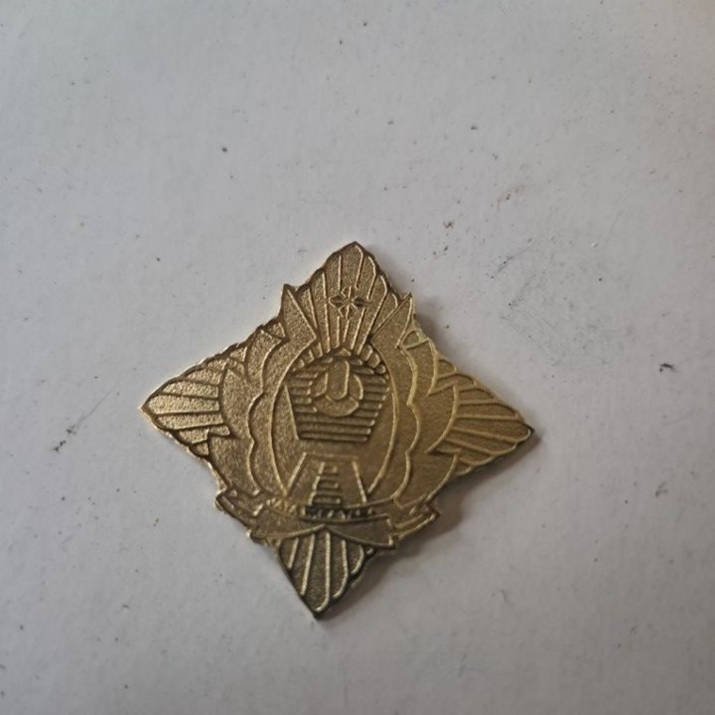 pin alumni sttd