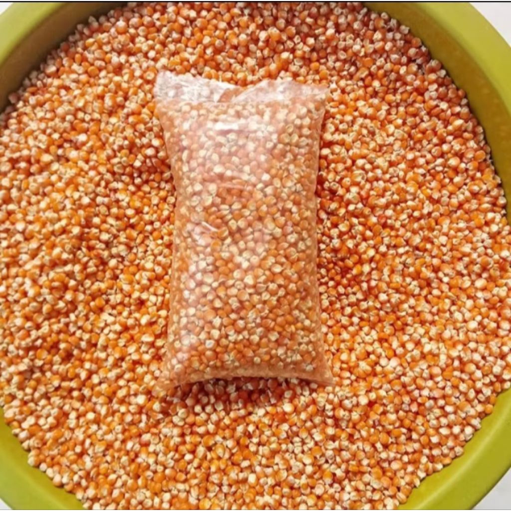 JAGUNG KRISTAL SUPER PAKAN MERPATI PAKAN HEWAN