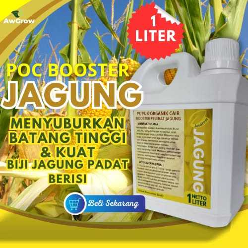 Pupuk JAGUNG Booster - Pupuk Cair Pelebat Jagung Pupuk Organik Jagung Pupuk Kemasan 1liter Pupuk Org