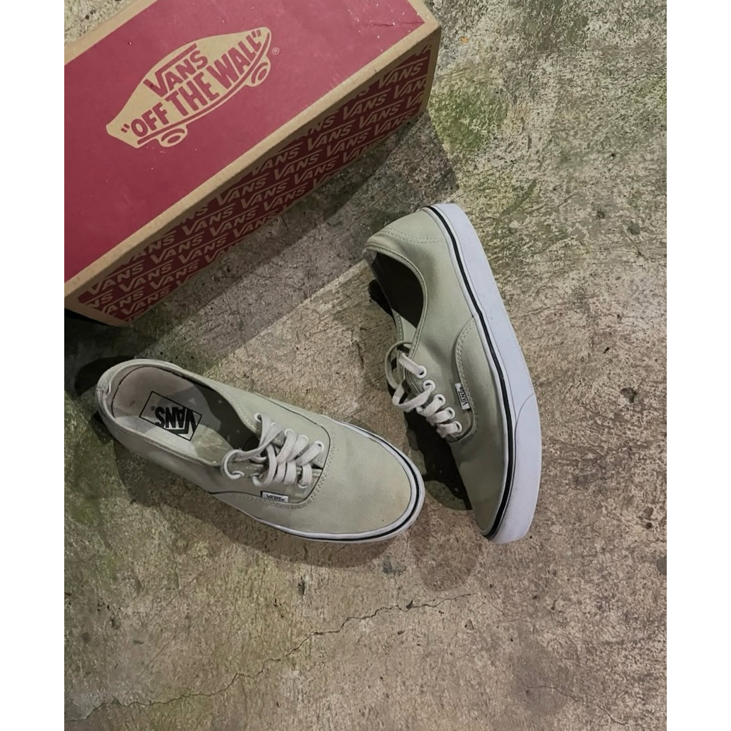 vans authentic theory ice berg