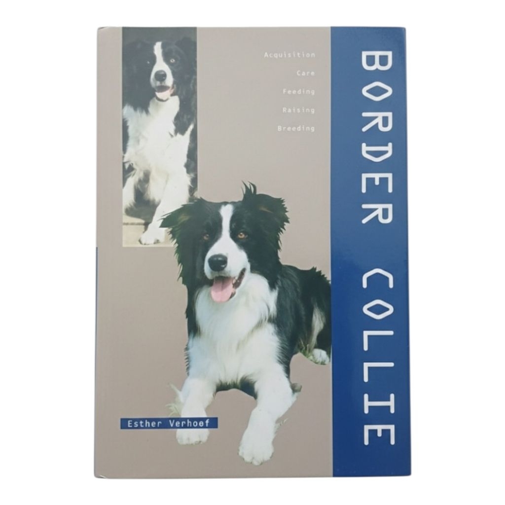 Border Collie by Rebo Publishing