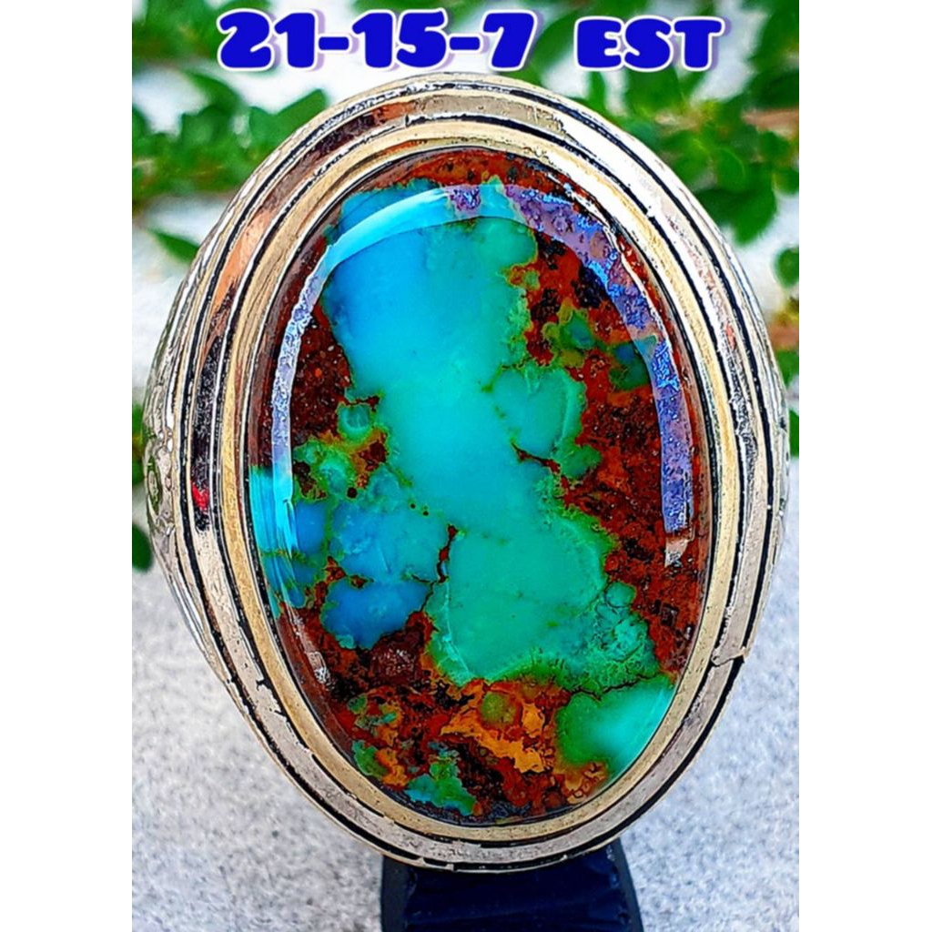 Pirus Persia ceplok antik