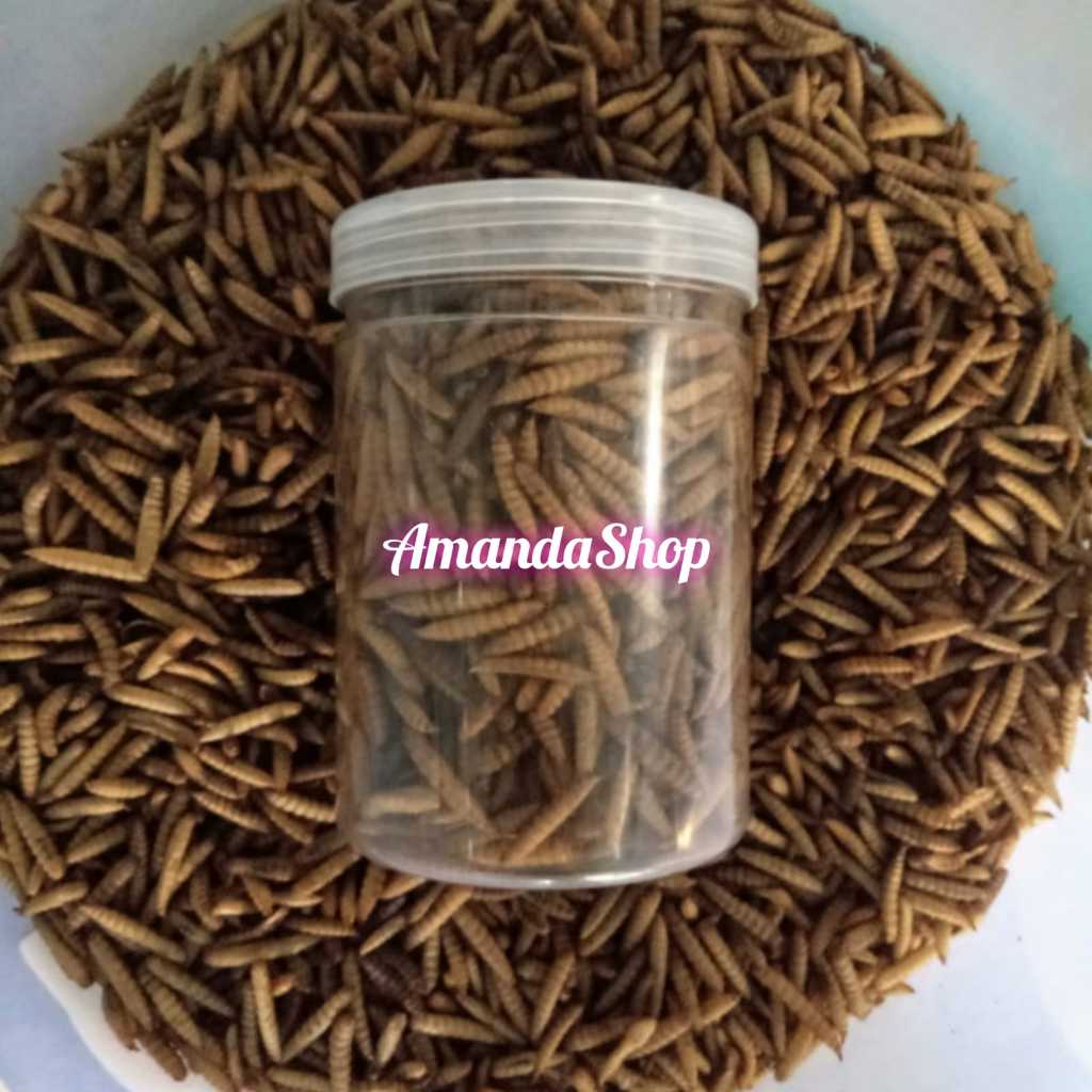 Maggot Kering BSF Grade A - /Dried Maggot  Tinggi Protein, Tidak Berminyak, 50 gram,100gram,150gram.