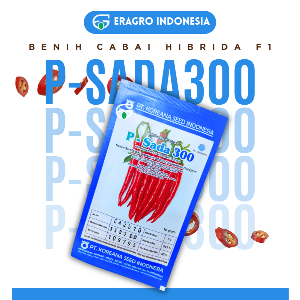 PSADA 300 Benih cabai Hibrida F1, Benih cabai benih cabai besar
