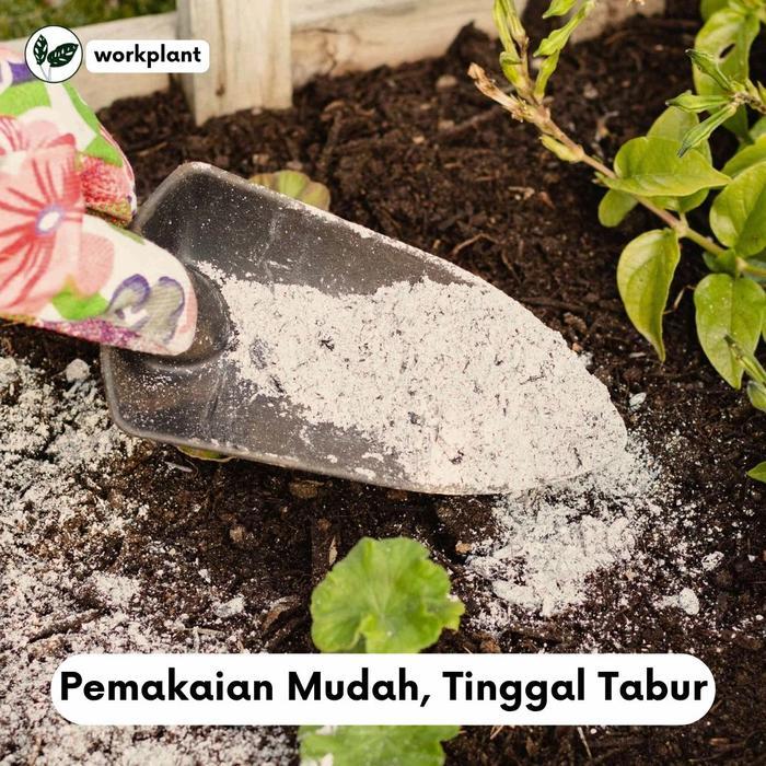 "New" Kapur Dolomit - Pupuk Dolomit Untuk Tanaman Hias / Dolomit Reptil