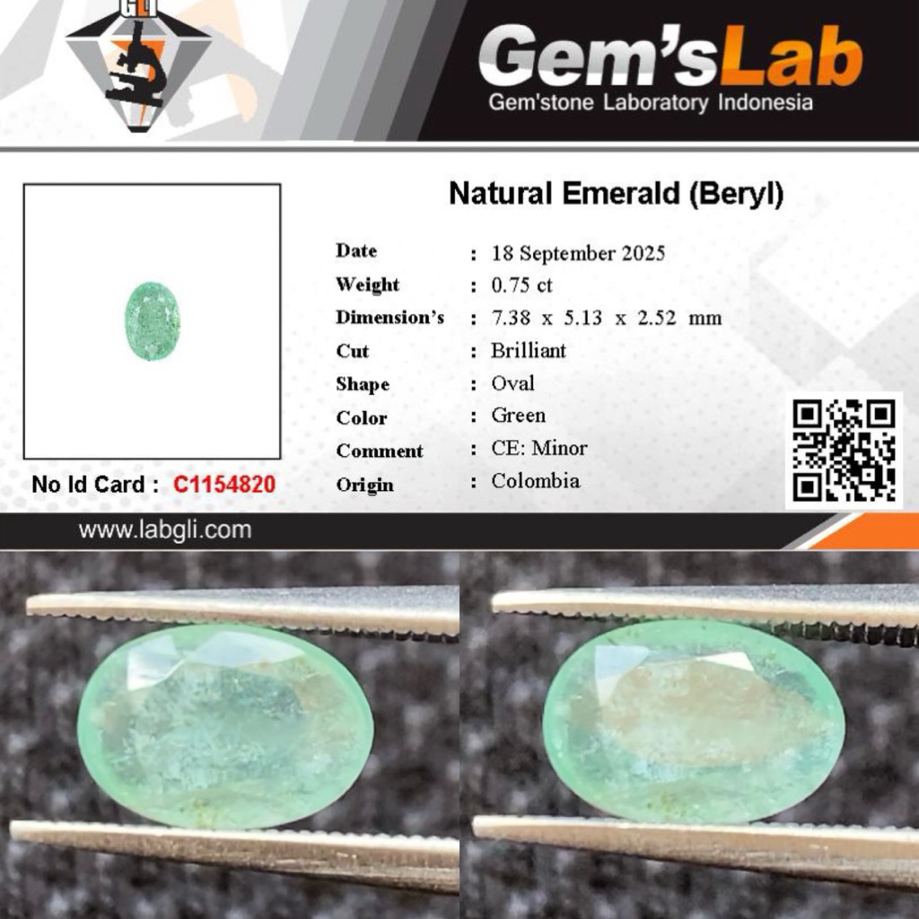 0,75 cts Natural Colombia Emerald Beryl (Zamrud) CE Minor Memo GLI