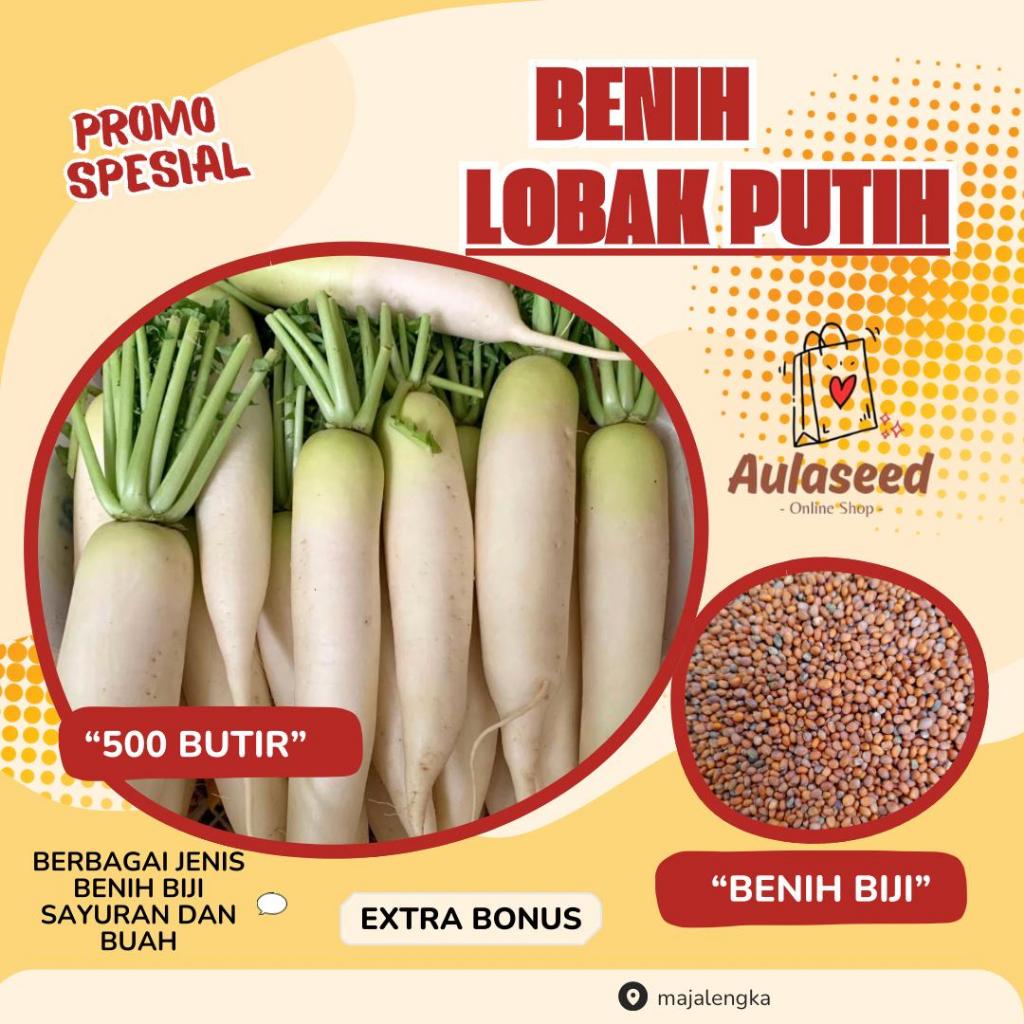 500 Butir> Benih Biji Lobak Putih > Lobak Batang Besar> Bibit Lobak