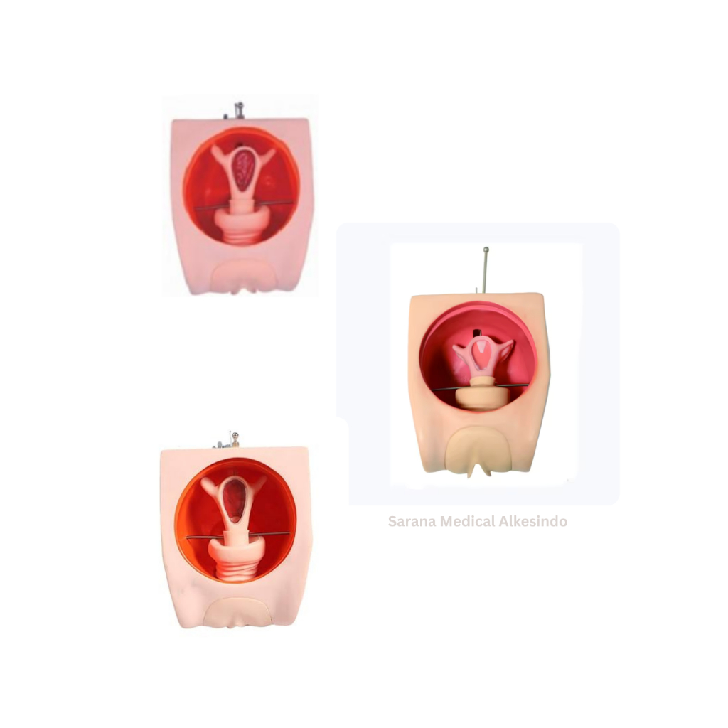 Manekin/Manikin/Alat Peraga/Phantom/Manekin Model Edukasi Keluarga Berencana Tingkat Lanjut – Simula