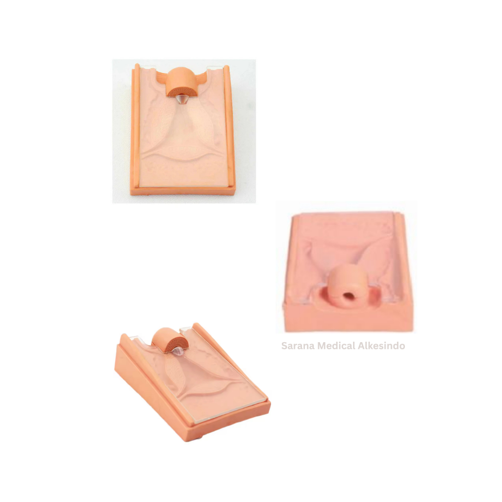 Manekin/Manikin/Alat Peraga/Phantom/Manekin Model Pelatihan AKDR Wanita – Simulator Rahim Transparan