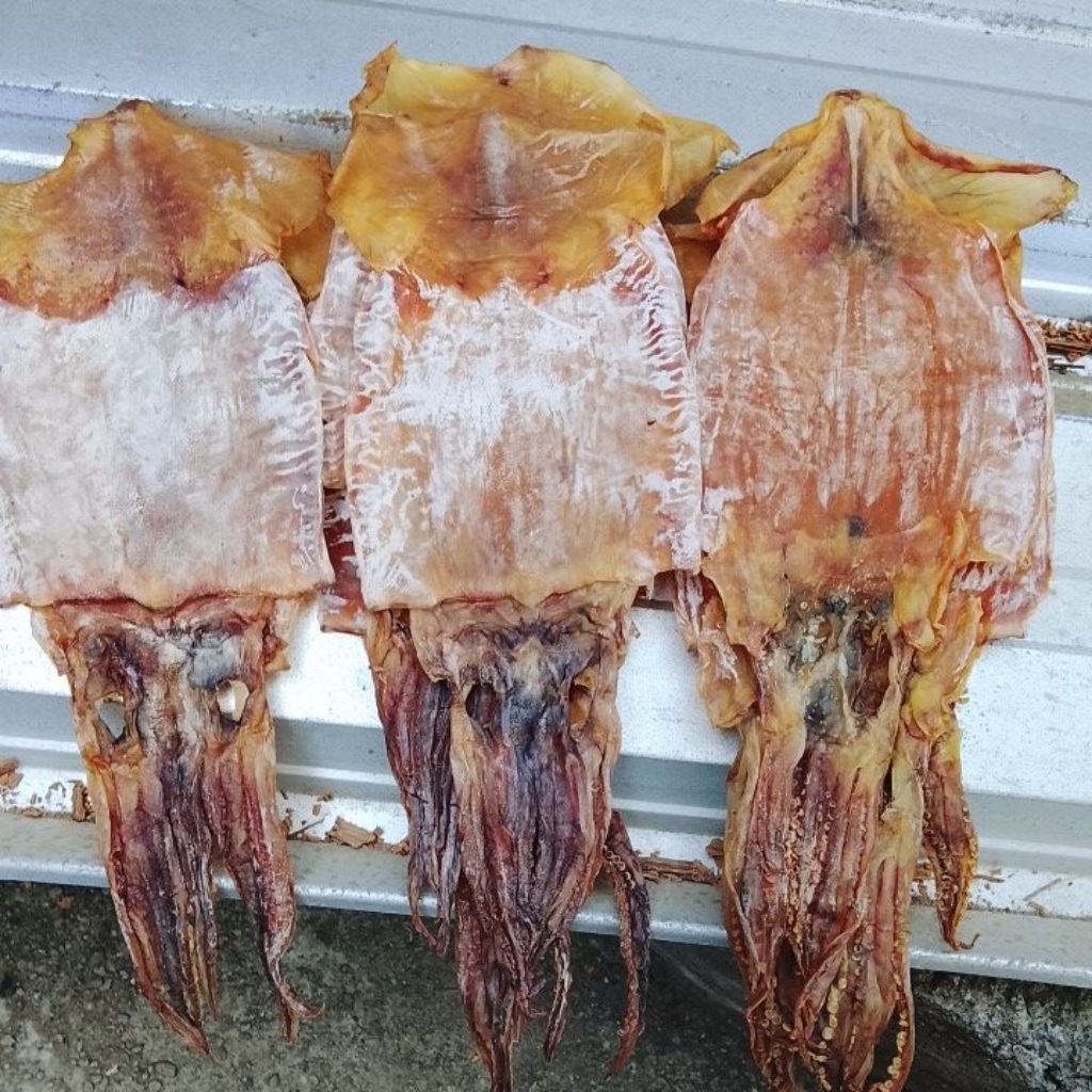 cumi juhi kering tawar ukuran sedang