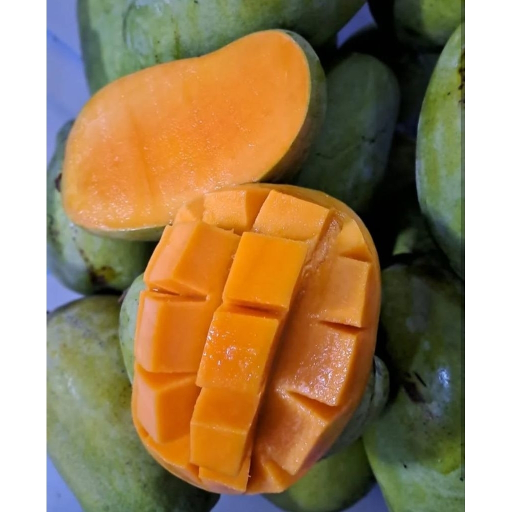 Mangga Gadung/Mangga Arumanis