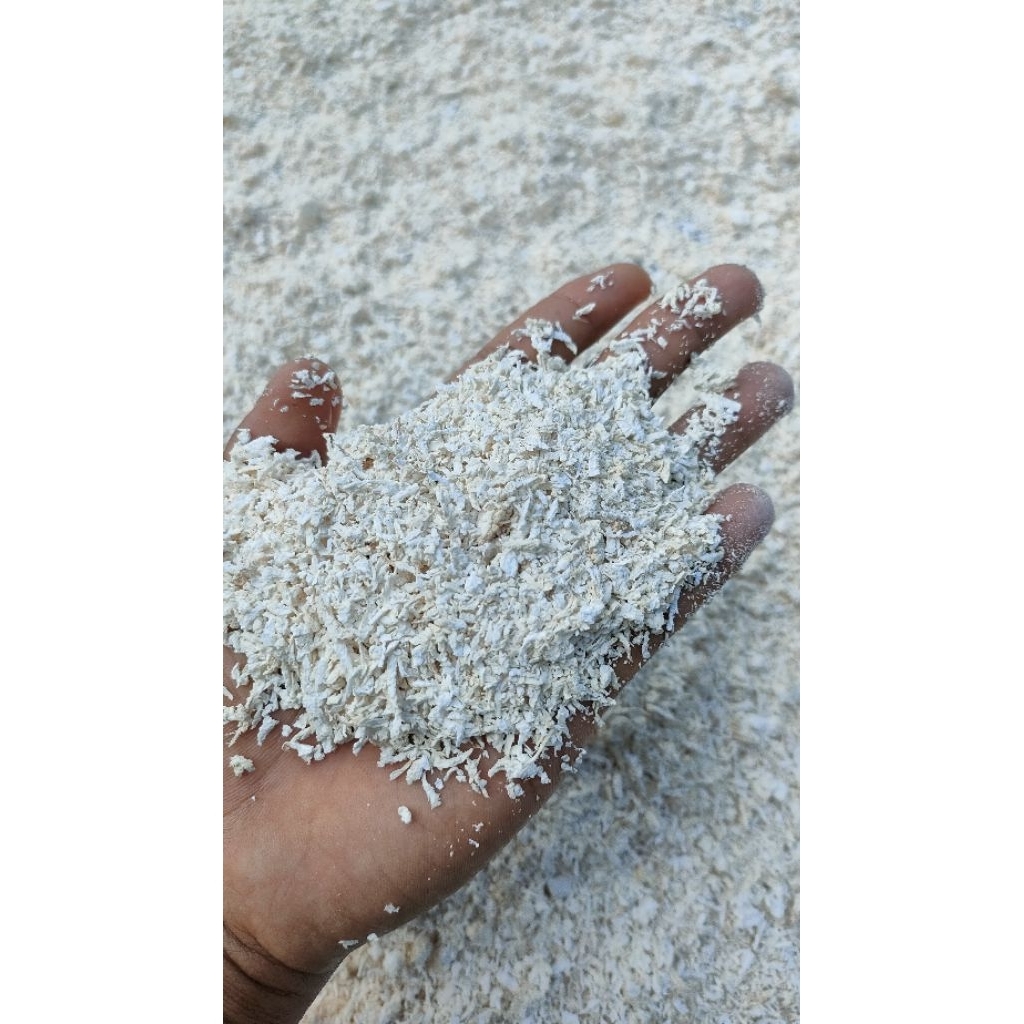 Pakan kambing gaplek srowol singkong/telo kering murni