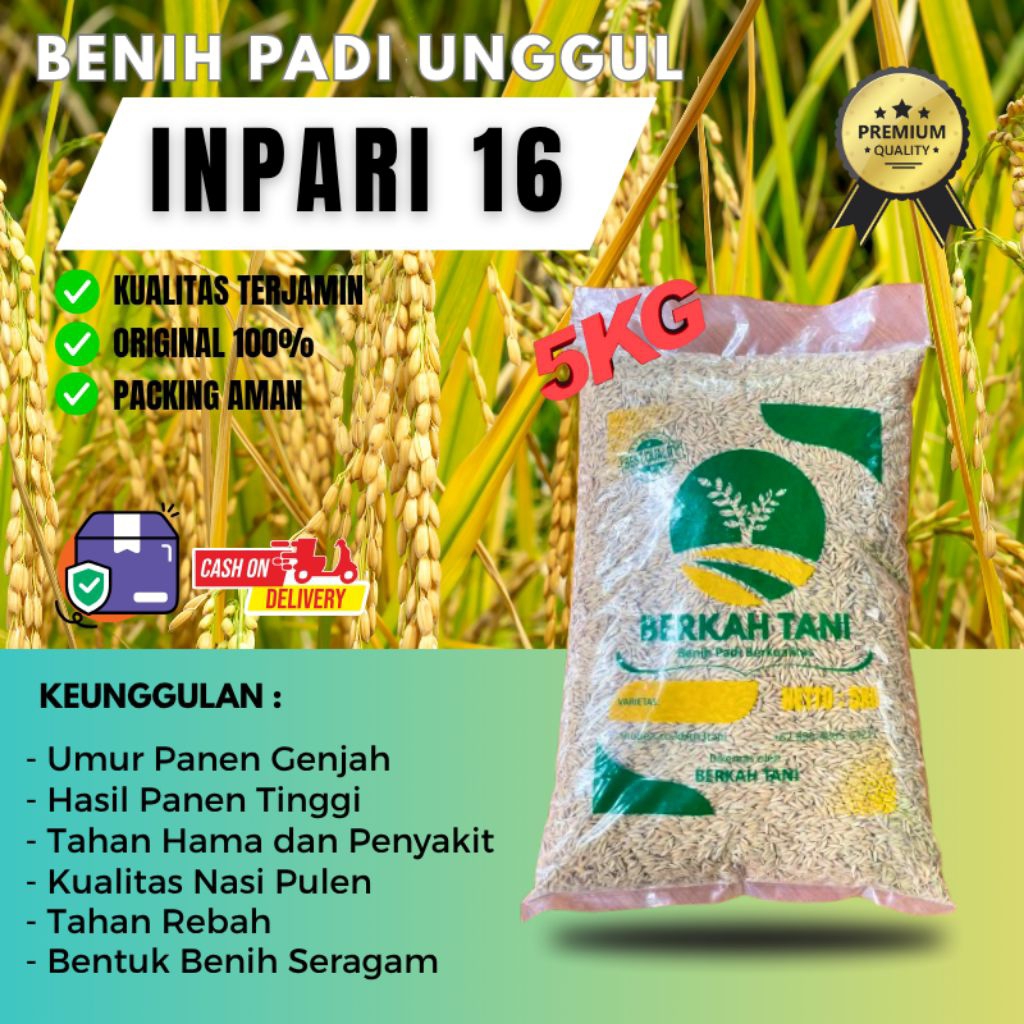 BENIH PADI UNGGUL INPARI 42 5KG BERKUALITAS