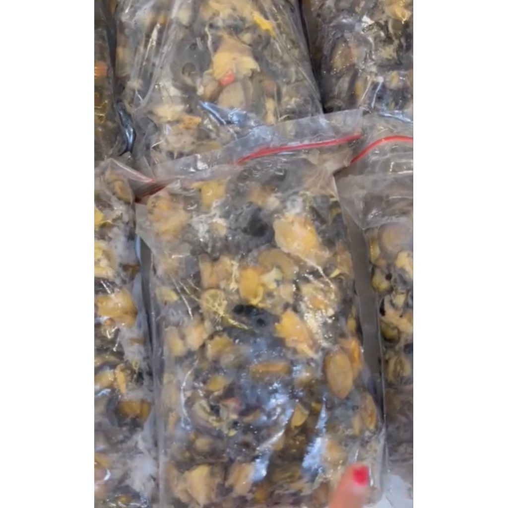 KEONG SAWAH KEMASAN 1 KG