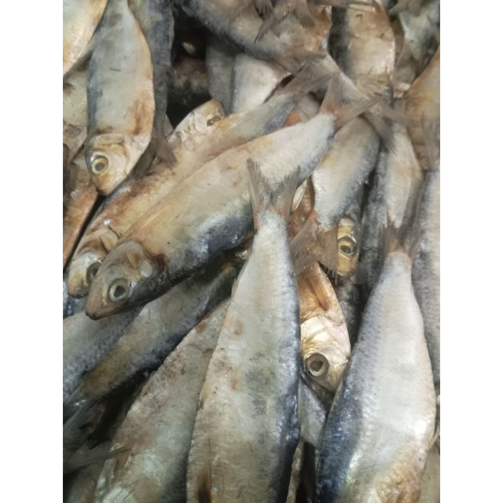ikan asin tembang cue 1kg