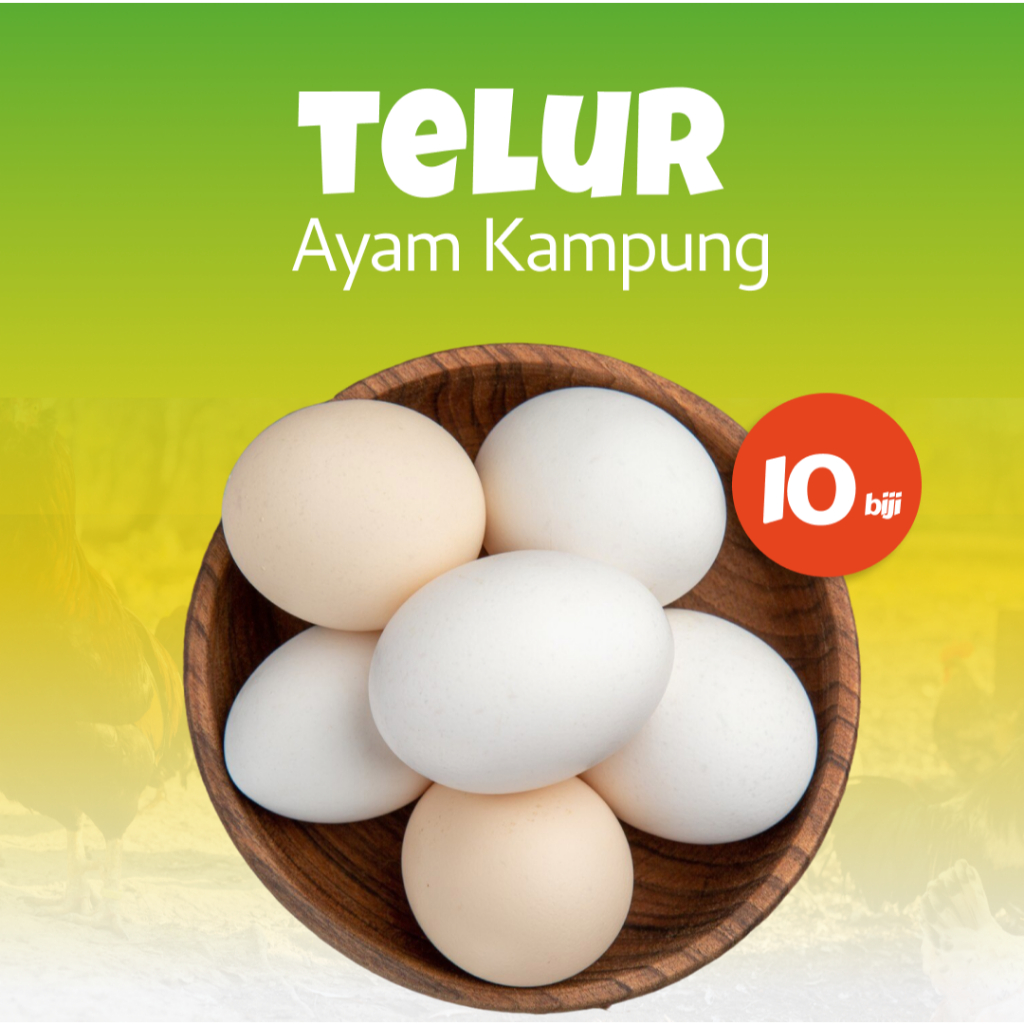 Telur Ayam Kampung Organik Fresh 10 Biji - Pitikampung