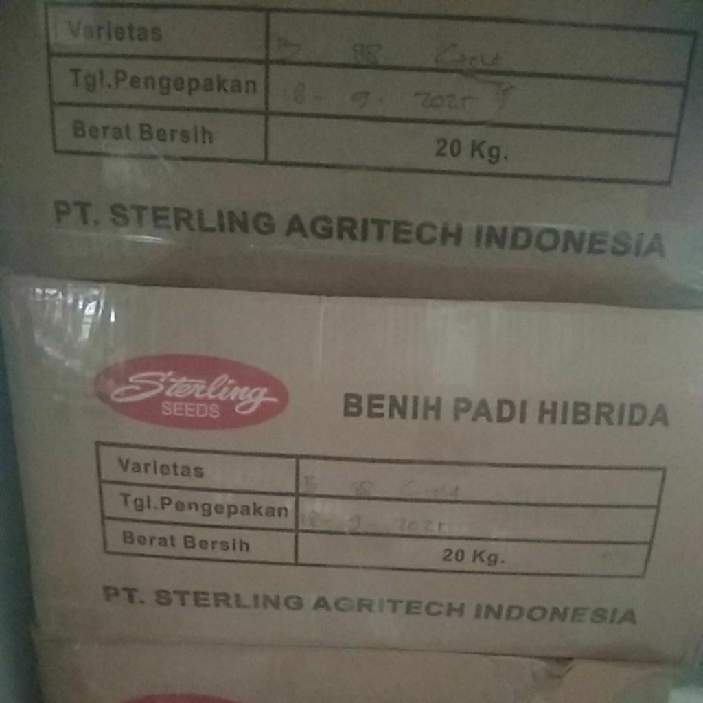 Benih Padi Hibrida Sterling B88Gold