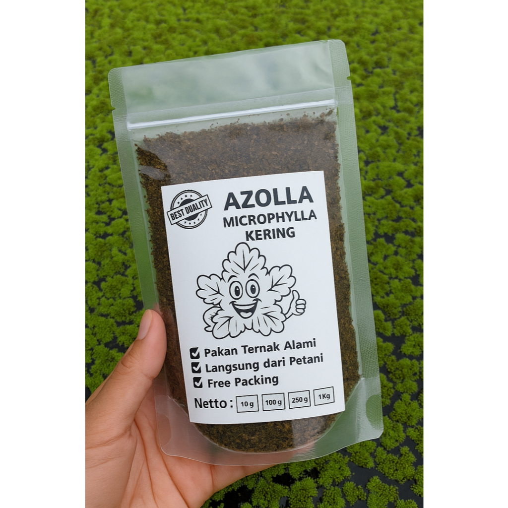 AZOLLA KERING 100% – Azolla Microphylla Murni Bahan Pupuk Organik & Tepung Pellet Alami