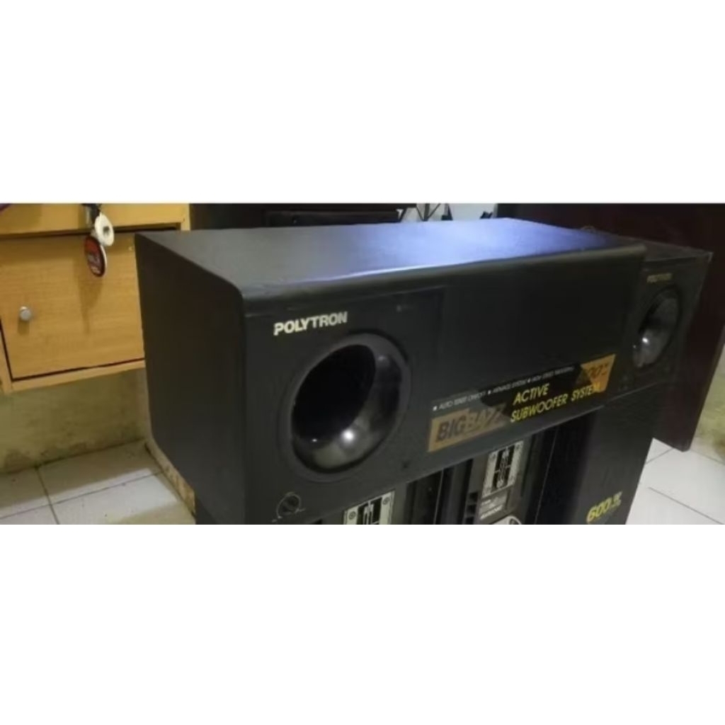 Polytron subwoofer psw500
