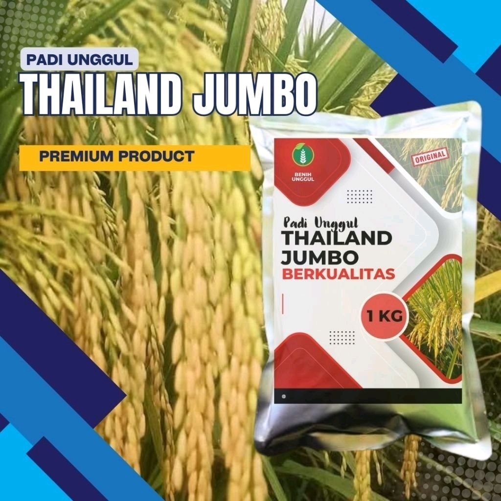 KEMASAN BENIH PADI UNGGUL THAILAND JUMBO 1KG