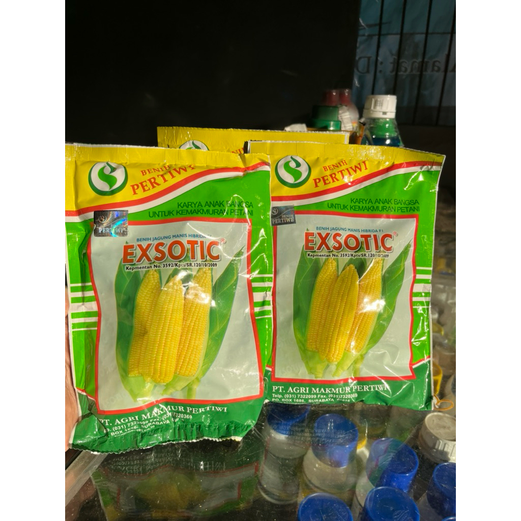 Benih Jagung Manis Exsotic Pertiwi