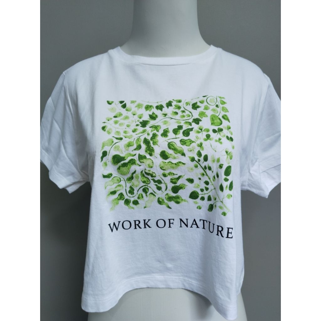 Kaos Crop Executive